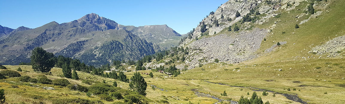 Netnummer: 08 (+3768) - Andorra la Vella, Andorra