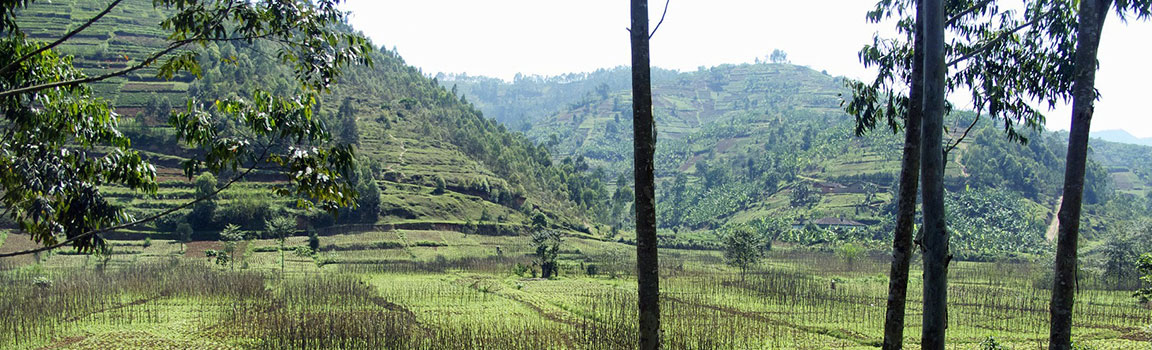 Netnummer: 07 (+2507) - Gikongoro, Rwanda